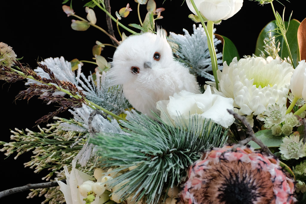 Snowy Owl