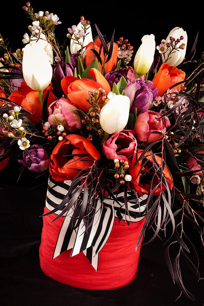 Tulips Tallulah