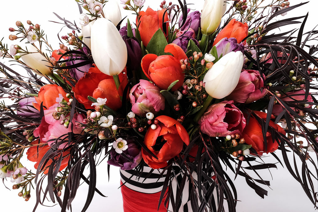Tulips Tallulah