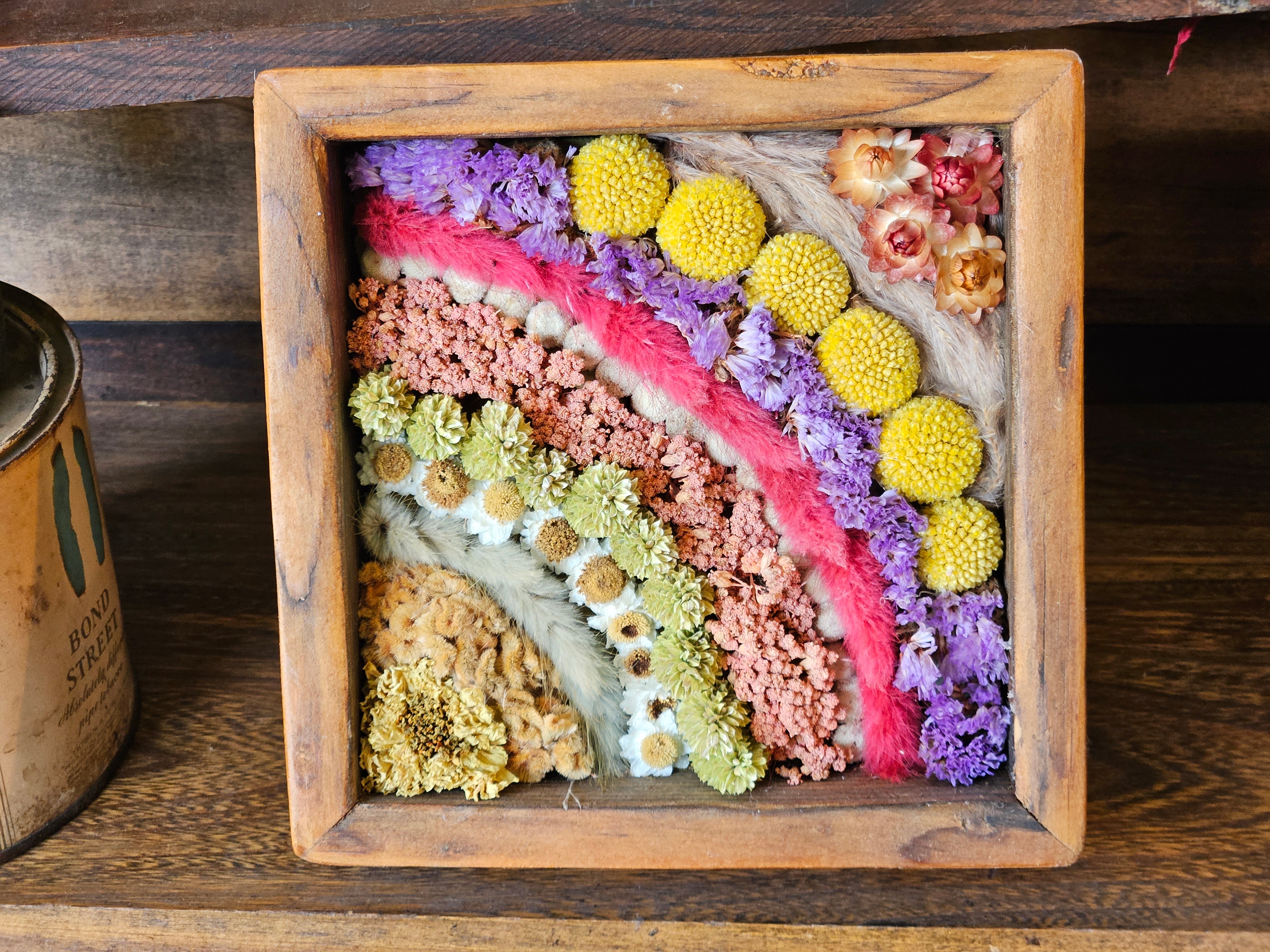 Handmade Dried Flower DIRT Box--Rainbow