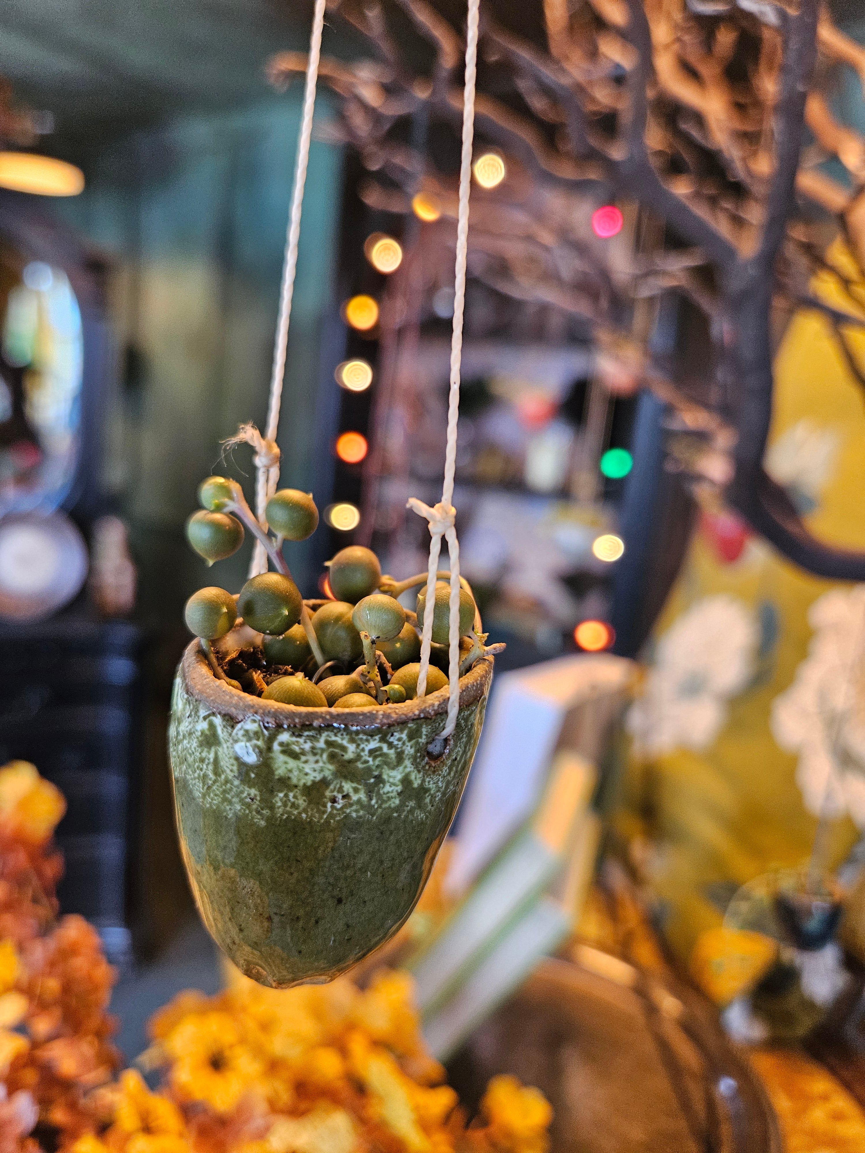 Handmade Ceramic Hanging Planter with String of Pearls