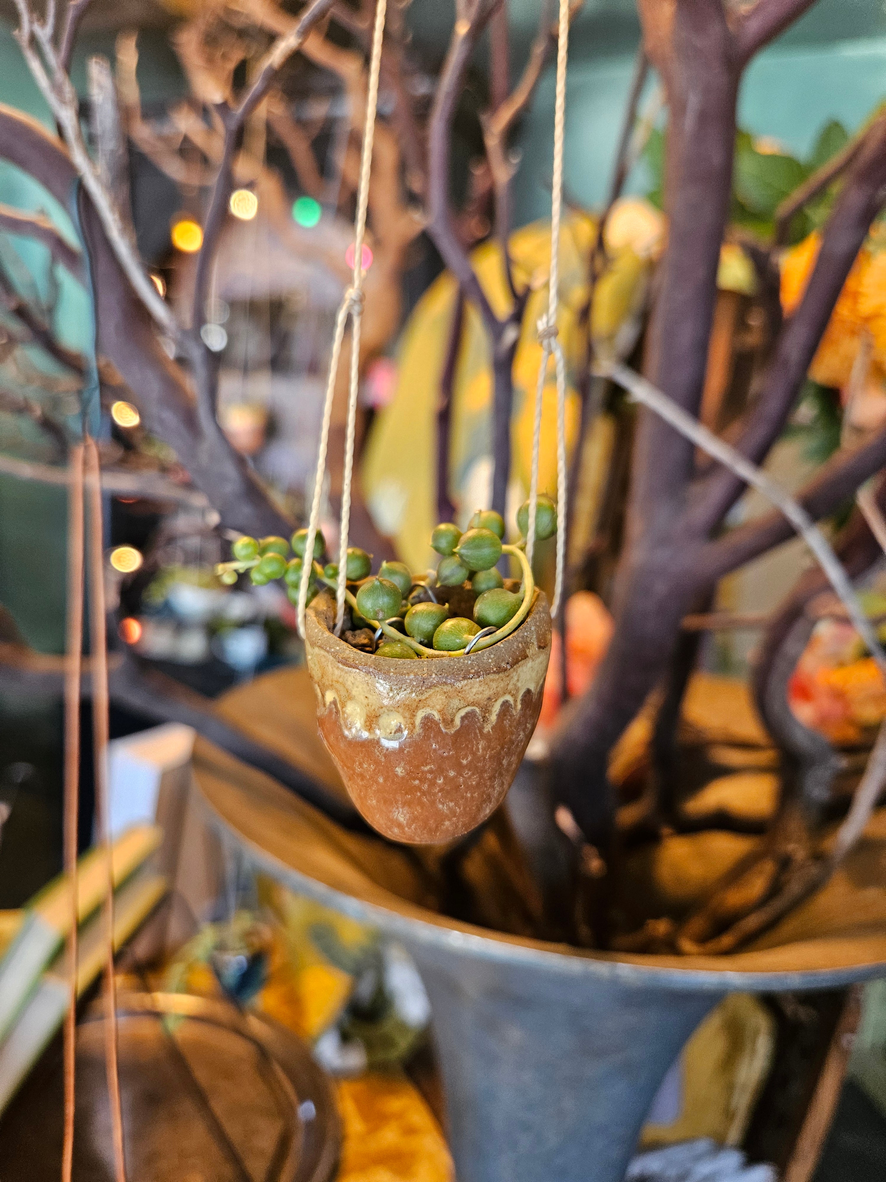 Handmade Ceramic Hanging Planter with String of Pearls