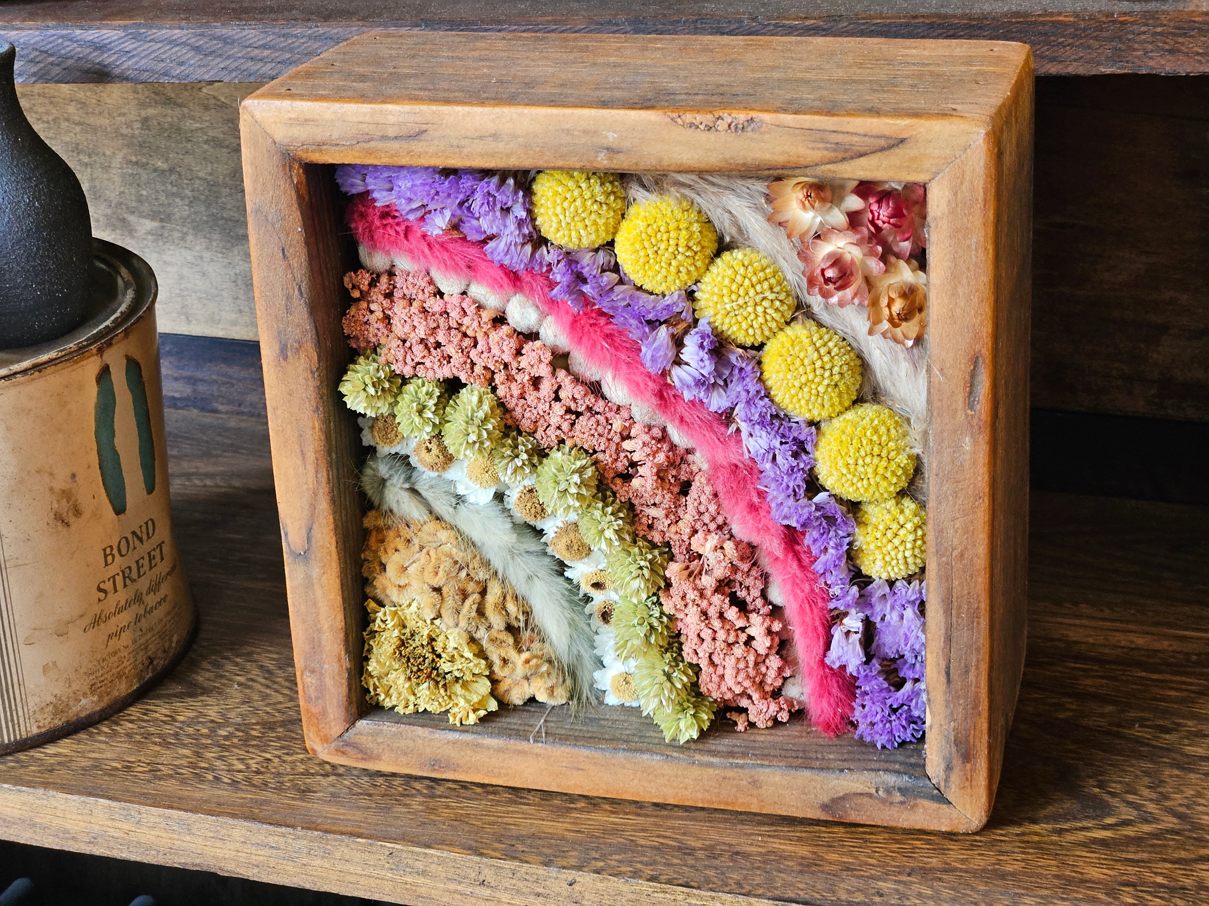 Handmade Dried Flower DIRT Box--Rainbow
