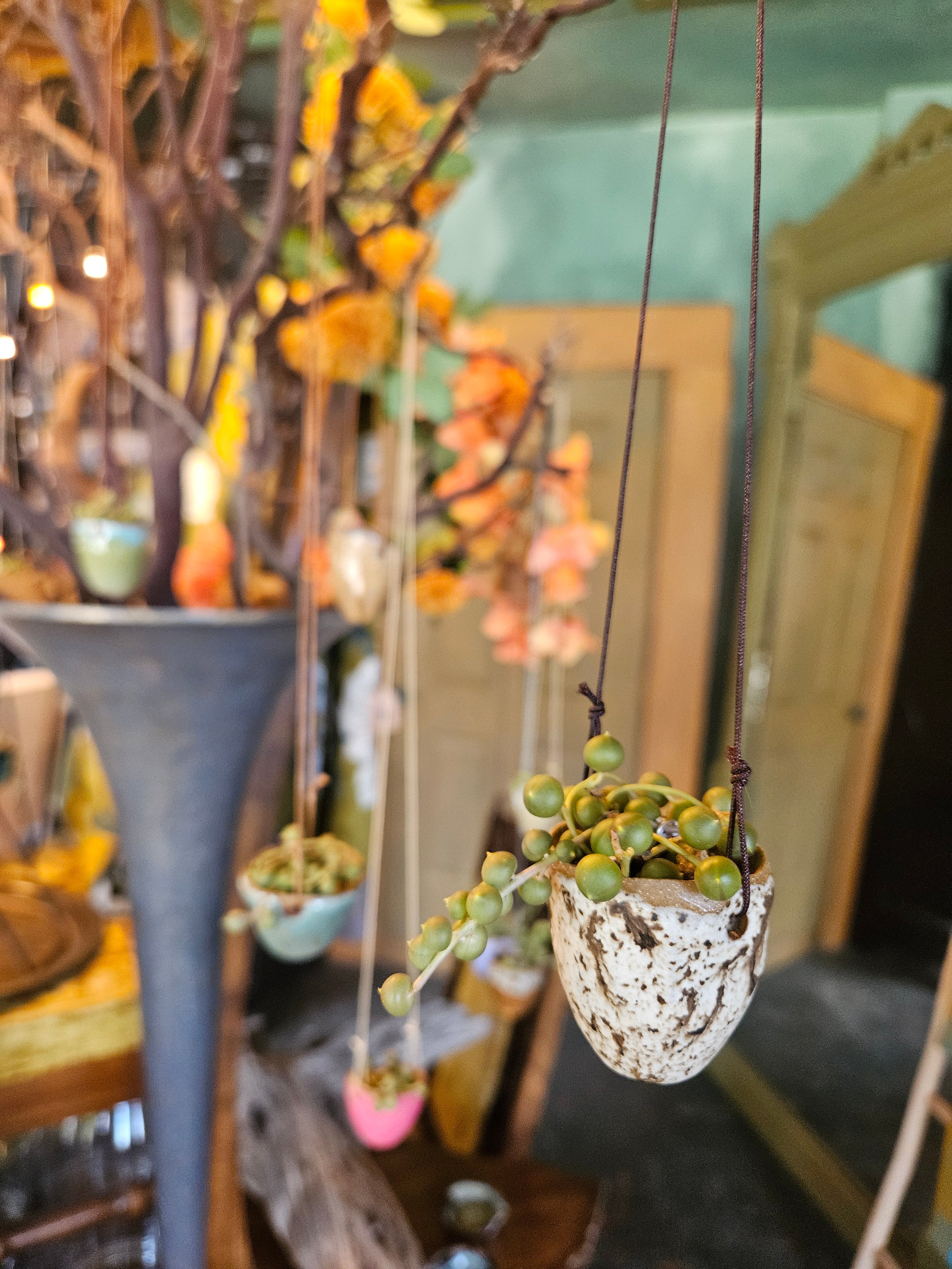 Handmade Ceramic Hanging Planter with String of Pearls