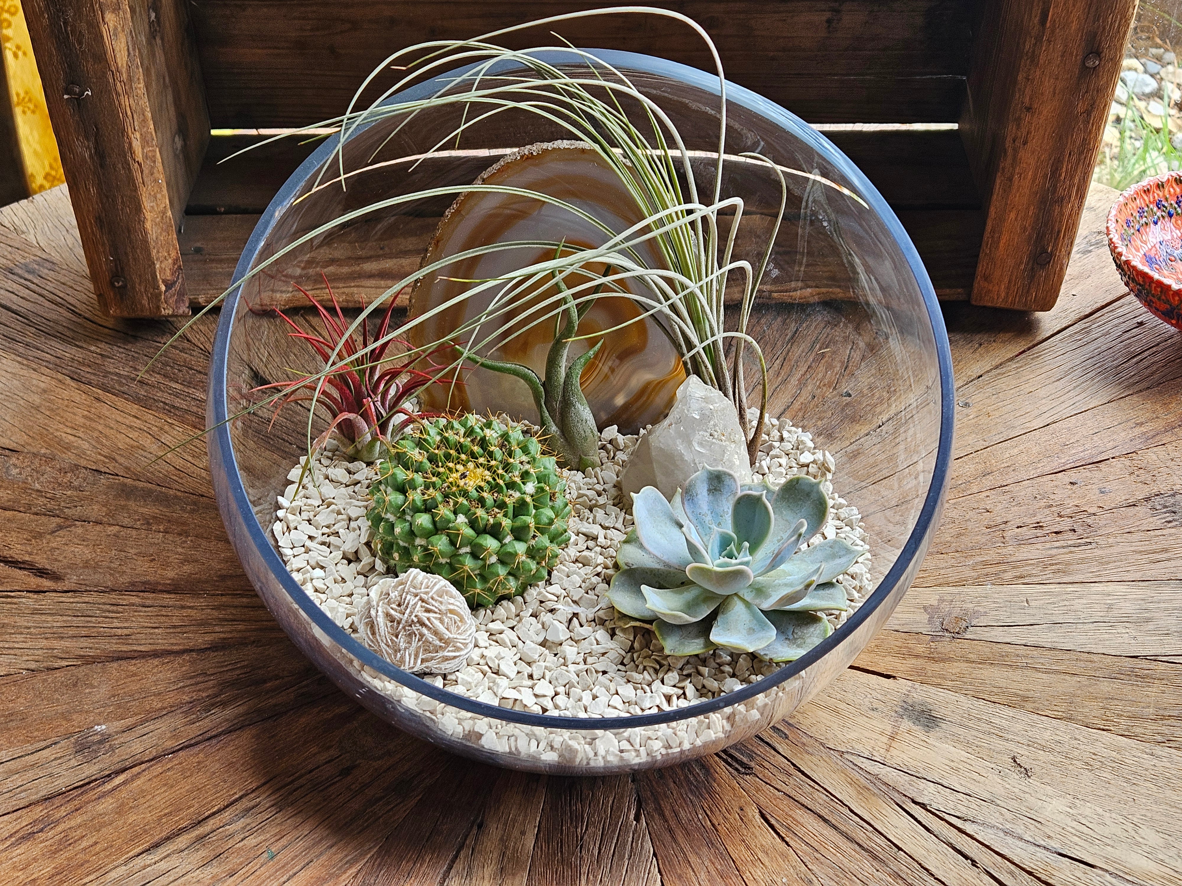 DIRT Desert Terrarium
