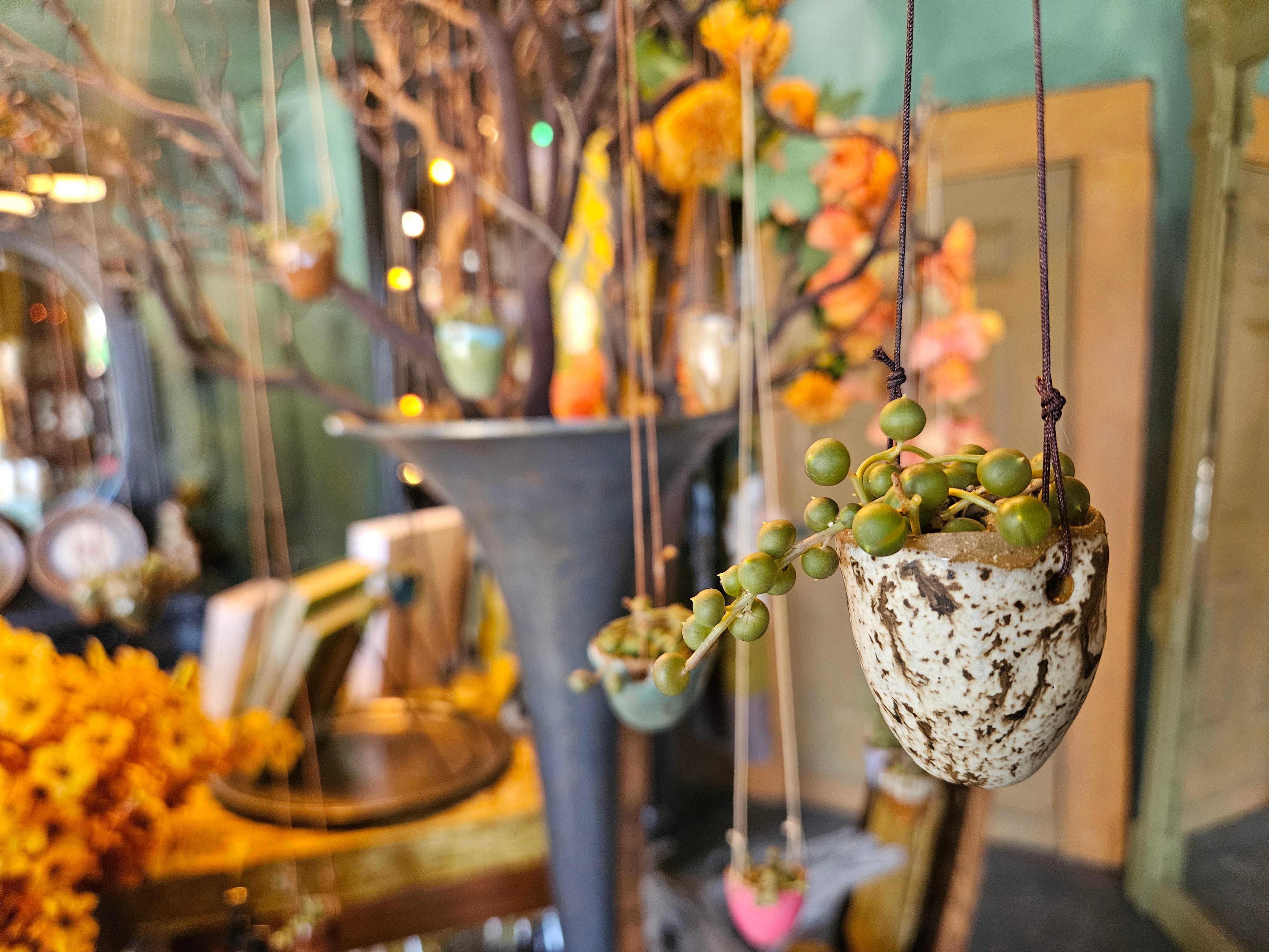 Handmade Ceramic Hanging Planter with String of Pearls
