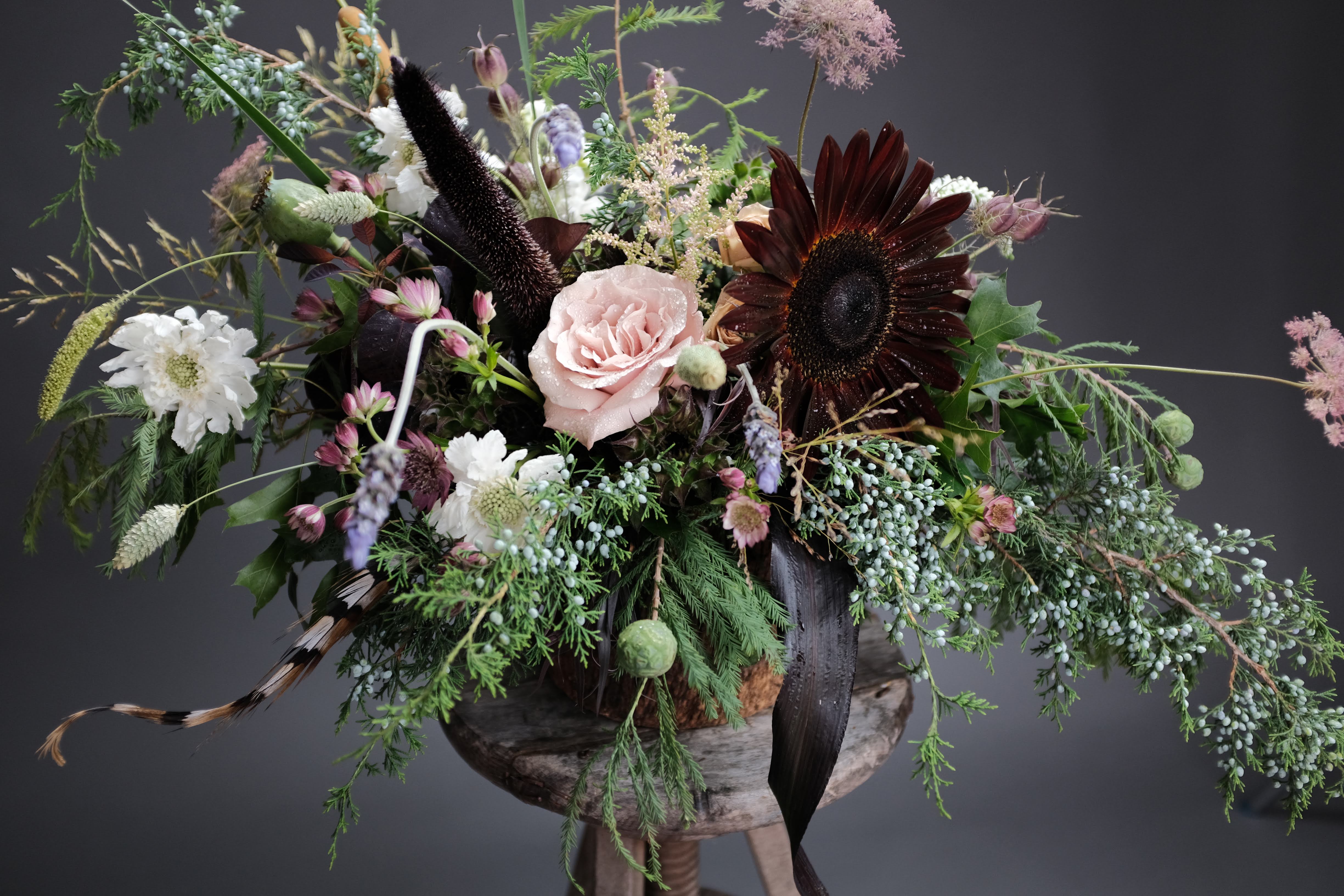 Down By The Wayside – DIRT Flowers