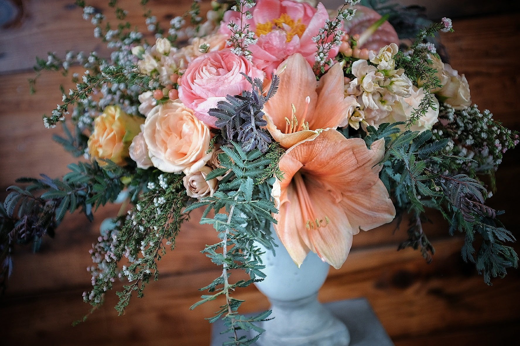 Georgia Peach – DIRT Flowers