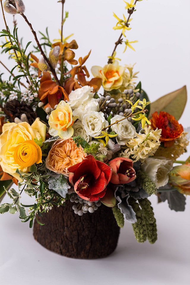 Briar Rabbit – DIRT Flowers