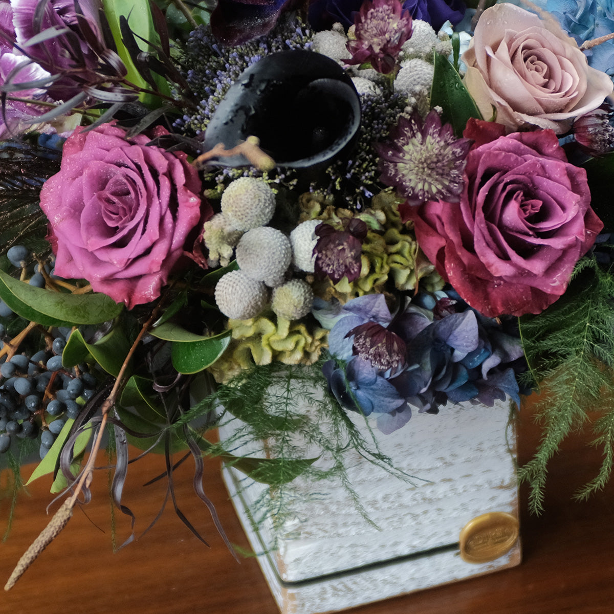 Peacock Jane Petite – DIRT Flowers