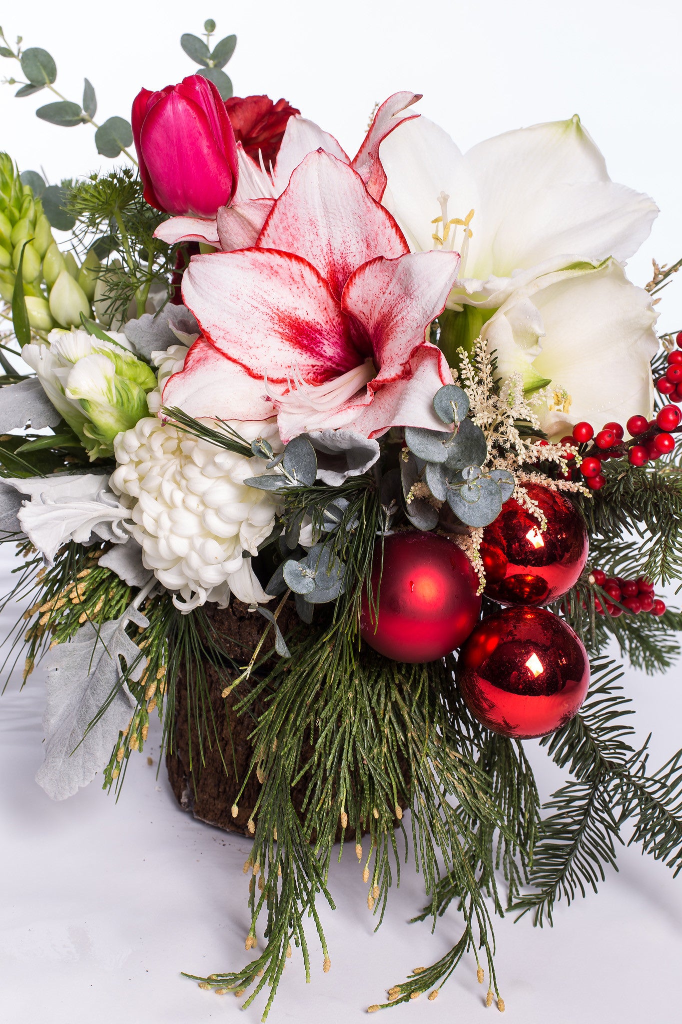 Peppermint Bark – DIRT Flowers