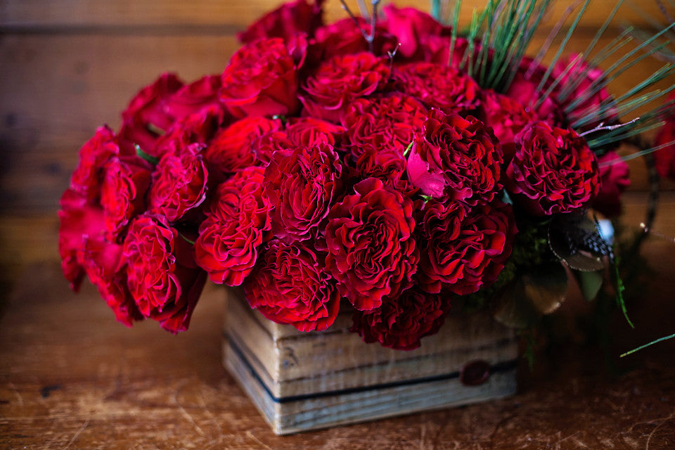 I Love You Insanely, 4 dozen – DIRT Flowers