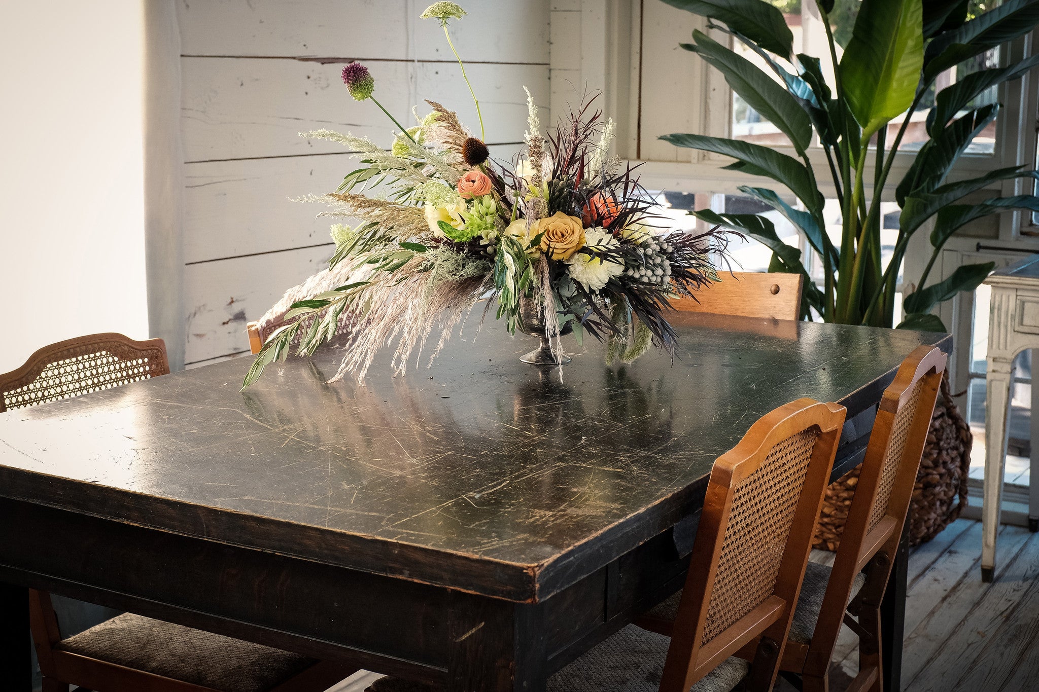 Wild Horses – DIRT Flowers
