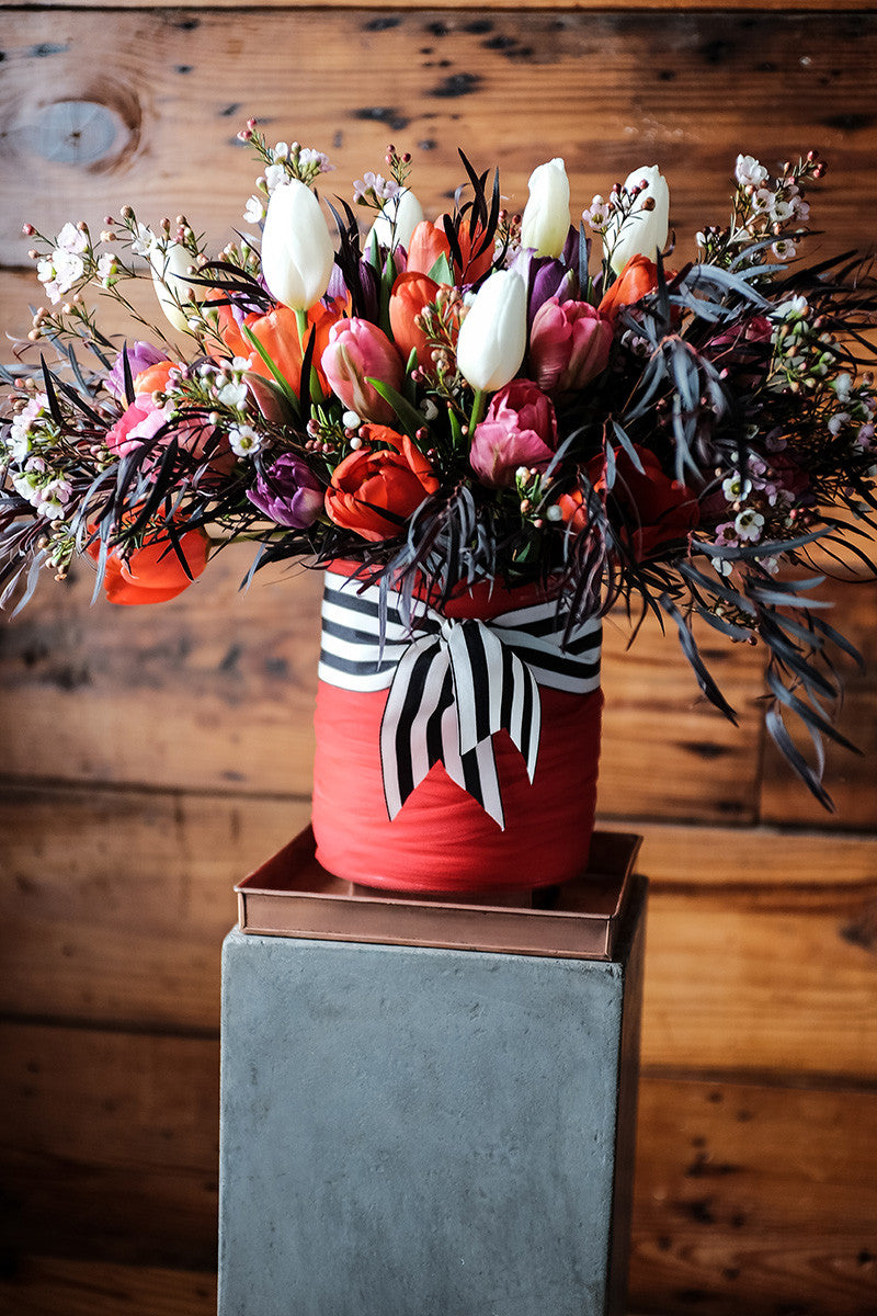Tulips Tallulah